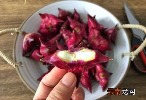 菱角怎么剥壳最方便