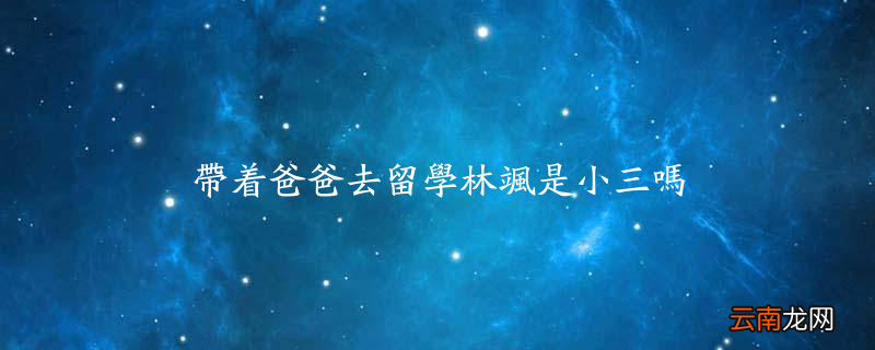 带着爸爸去留学林飒是小三吗