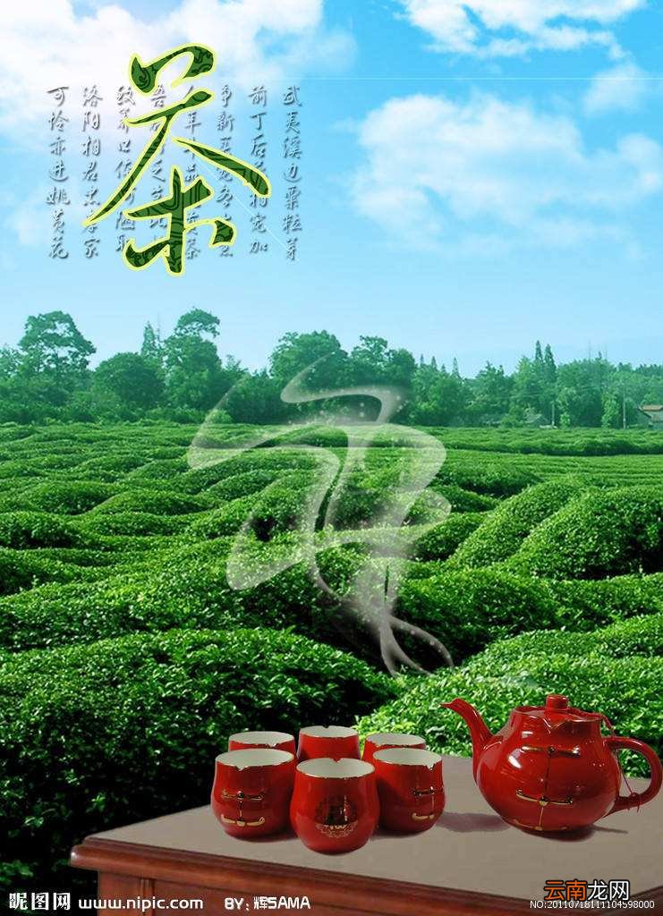 什么是三茶六礼