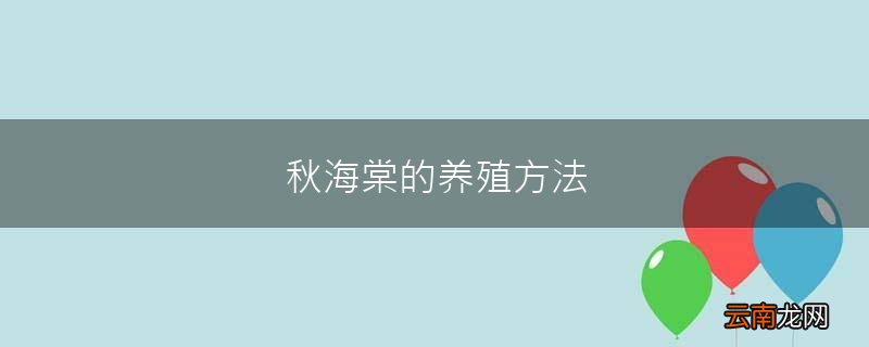 秋海棠的养殖方法