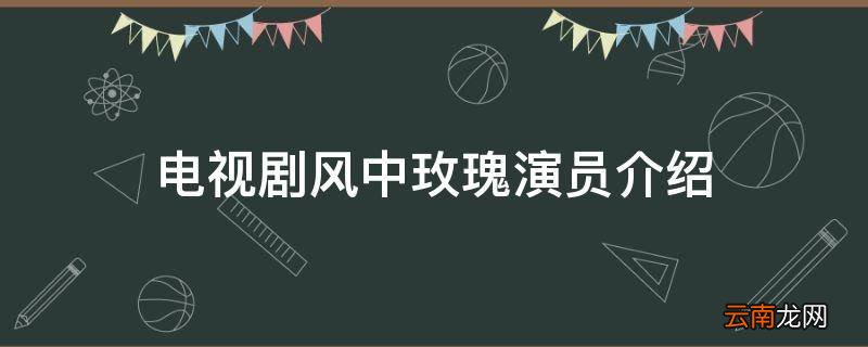 电视剧风中玫瑰演员介绍