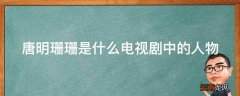 唐明珊珊是什么电视剧中的人物