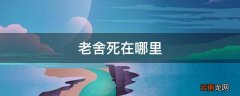 老舍死在哪里