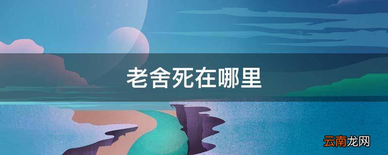 老舍死在哪里