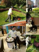 物业助理是做什么的