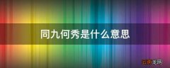 同九何秀是什么意思