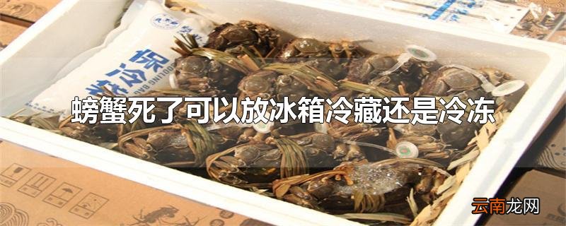大闸蟹冷藏可以多久