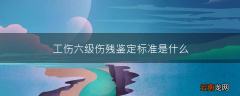 工伤六级伤残鉴定标准是什么