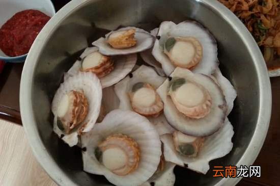 煮扇贝几分钟能熟透
