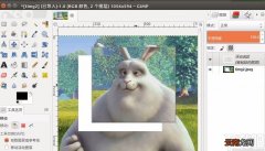 gimp从选区新建图层的方法