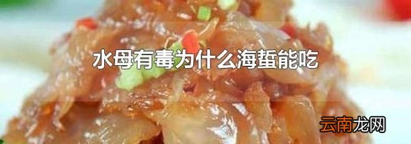 水母有毒为什么海蜇能吃