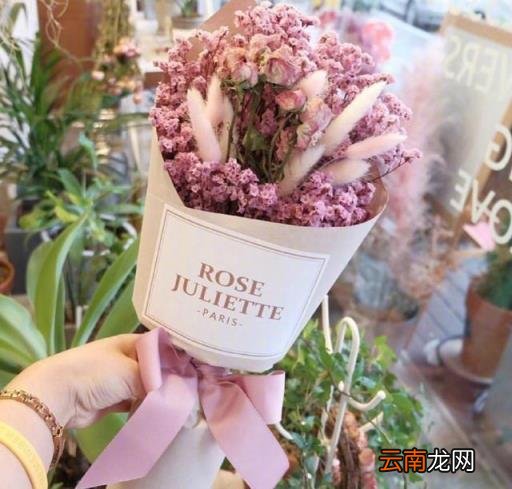 低调是处世法则的句子 低调有力量的句子