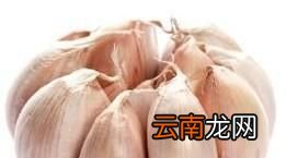 米面生了虫子怎么办？