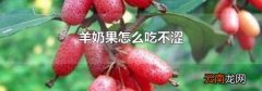 羊奶果怎么吃不涩