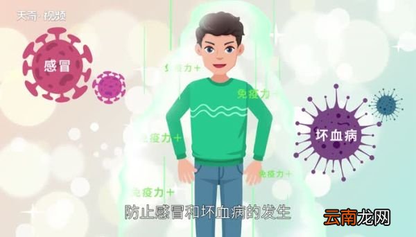 花菜是什么季节的蔬菜 花菜在什么季节种植