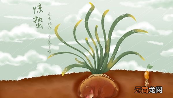 惊蛰的意思 惊蛰是什么意思