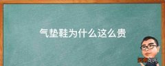 气垫鞋为什么这么贵