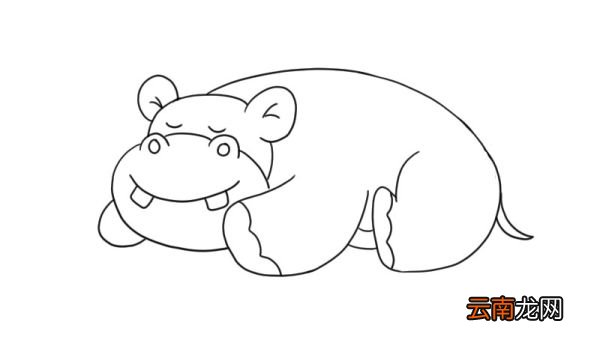 河马简笔画