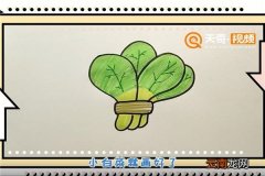小白菜简笔画