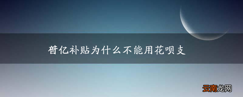 百亿补贴为什么不能用花呗支付