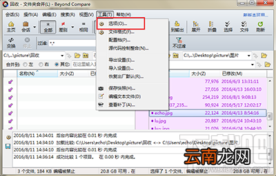 Beyond Compare日志面板添加背景色教程