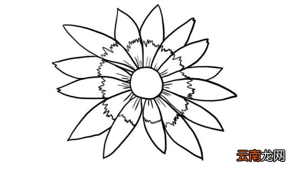 黑心菊花简笔画