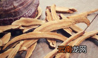 灵芝一般生长在什么地方 灵芝生长的地方