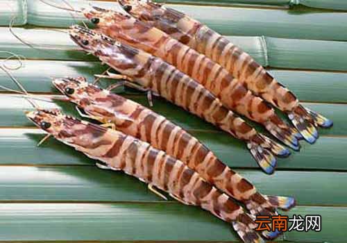 骨关节炎能不能吃 骨关节炎不能吃什么