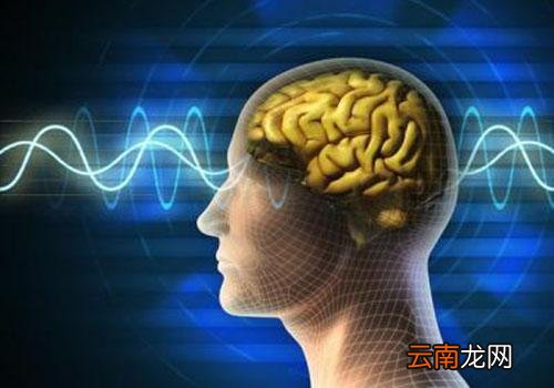 癫痫病会遗传吗