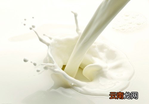 胆结石胆囊炎可以喝牛奶吗 胆囊炎可以喝牛奶吗