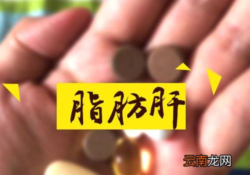 脂肪肝对身体有什么危害性 脂肪肝对人体的危害有多大