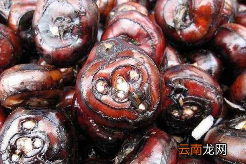 荸荠栽培技术 荸荠水培技术