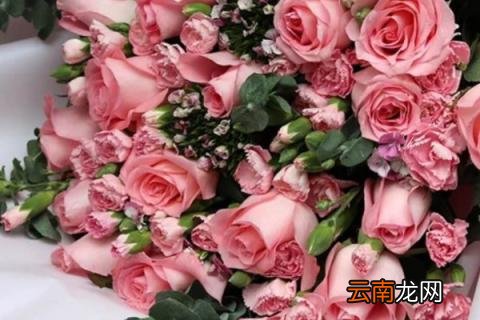 戴安娜花束图片 戴安娜花束代表什么?
