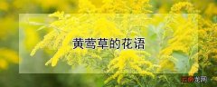 黄莺草的花语和寓意 黄莺草的花语