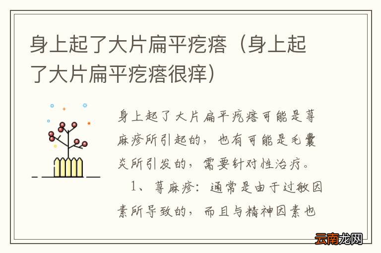 身上起了大片扁平疙瘩很痒 身上起了大片扁平疙瘩