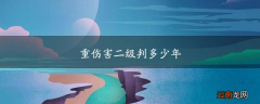 重伤害二级判多少年