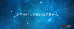 刷子李让人想起的俗语是什么