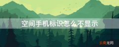空间手机标识怎么不显示