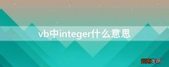vb中integer什么意思