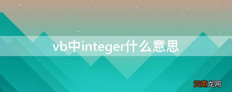 vb中integer什么意思