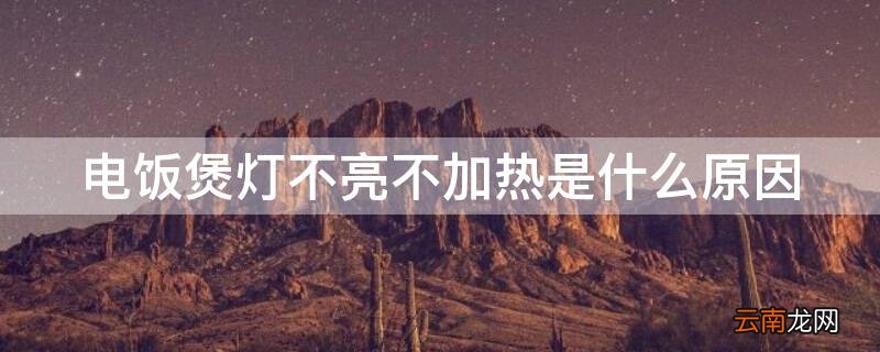 电饭煲灯不亮不加热是什么原因