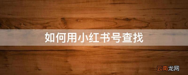 如何用小红书号查找