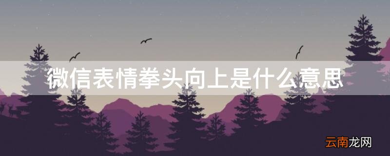 微信表情拳头向上是什么意思