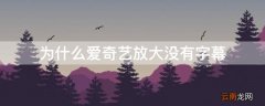 为什么爱奇艺放大没有字幕