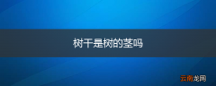 树干是树的茎吗