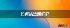 如何挑选新鲜虾