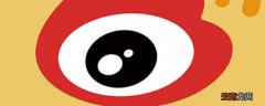 wb会员是什么 bw大会员