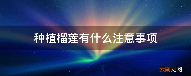种植榴莲有什么注意事项