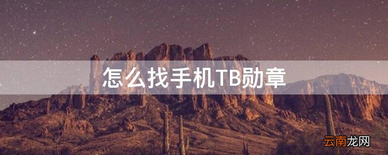 2021手机怎么看勋章 怎么找手机TB勋章