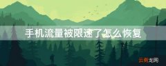 手机流量被限速了怎么恢复网速电信 手机流量被限速了怎么恢复